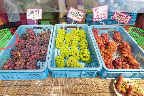 山梨県勝沼　収穫直後のぶどう販売所
