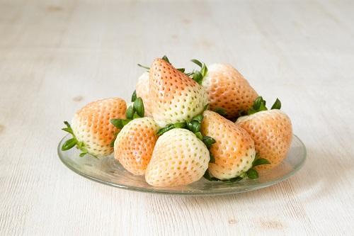 白イチゴ（淡雪）