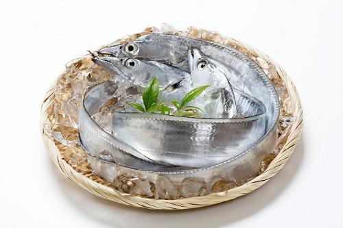 太刀魚