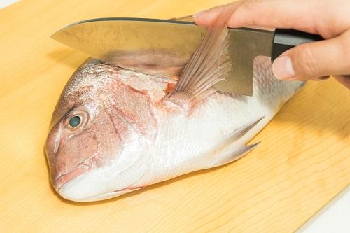 真鯛をさばく
