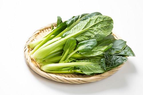 収穫した小松菜