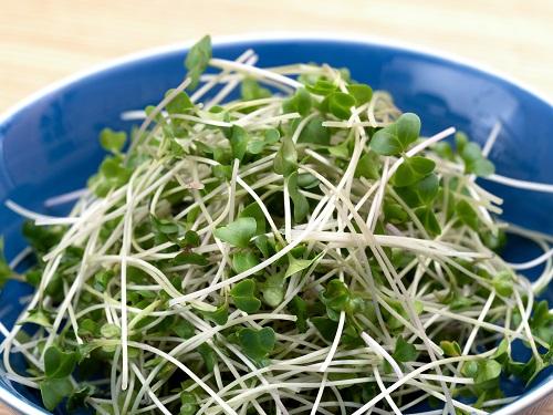 ブロッコリースプラウト