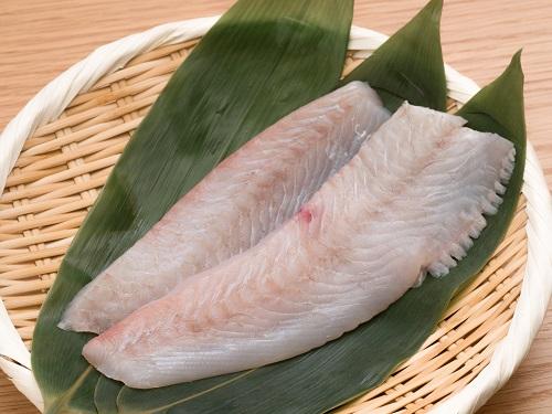 ヒラメの刺身