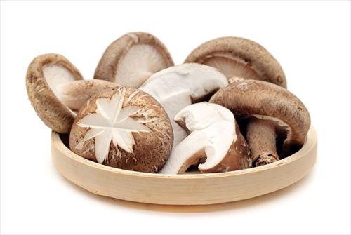 しいたけ