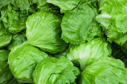レタス