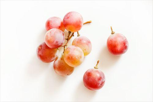 ブドウ