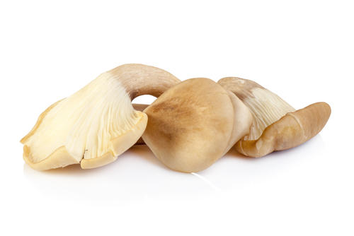 まるでアワビの食感！？「アワビタケ」とは