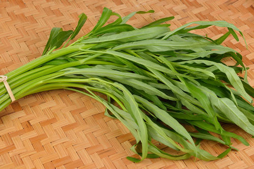 空心菜（くうしんさい）の種類と旬！おすすめの美味しい食べ方も紹介