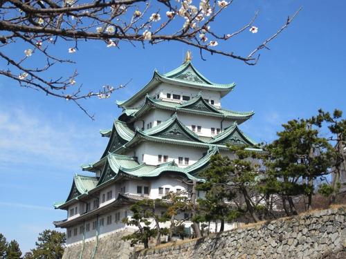 「芋茎縄（いもがらなわ）」って知ってる？食べ物でありロープ？