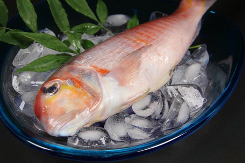 今の季節美味しい！【甘鯛】の種類と選び方・食べ方