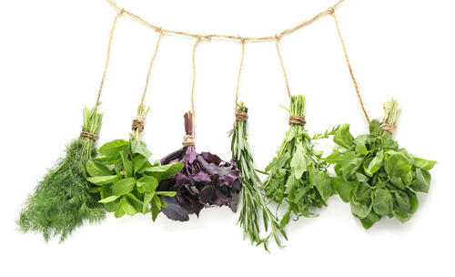 香味野菜が隠れた主役！のせる・混ぜる・和えるで味わう夏おかず