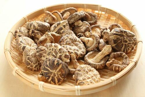 干すと旨みがアップする！干ししいたけの選び方と戻すコツ