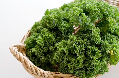 GABAを多く含む野菜がブーム？その理由とは