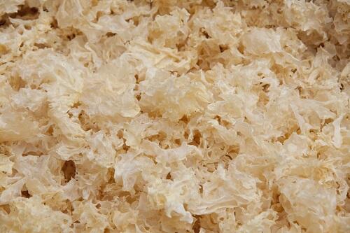 白キクラゲとは？2種類あるキクラゲの違いや美味しい食べ方などを紹介