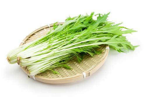 江戸時代から親しまれていた水菜【京菜】の特徴と選び方のコツ