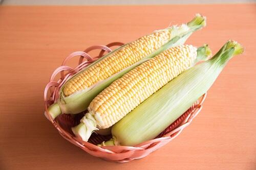 【とうもろこし】を徹底解説！栄養や調理方法、生産地、保存方法とは