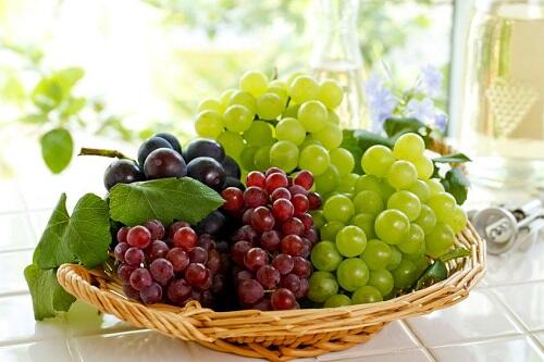 奥深い【ぶどう】の豆知識を総まとめ！栄養や保存方法からイチ押し品種まで