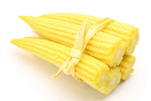 【ヤングコーン】の鮮度を保つ『正しい保存方法』とは？冷蔵？冷凍？