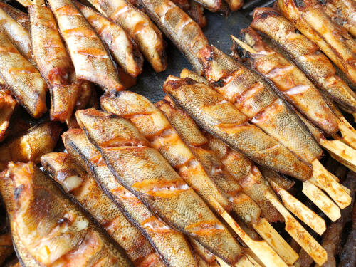 鮎の塩焼きの保存方法を紹介！ひと手間かけて再び美味しく！