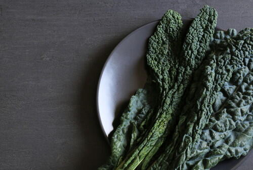 黒キャベツは栄養素が高く家庭菜園向き！おすすめパスタと和風レシピ