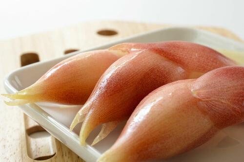 薬味の代表選手【みょうが】を美味しく食べるための下ごしらえの仕方