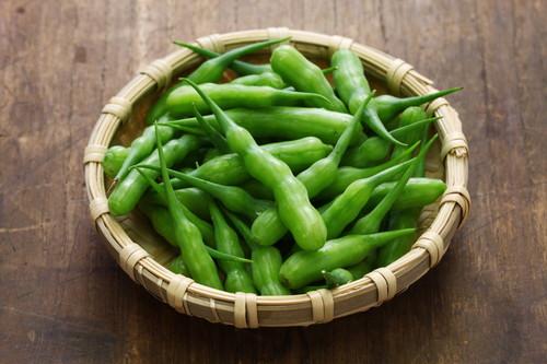 さや大根とはどんな野菜？一度は食べておきたい美味しさ！