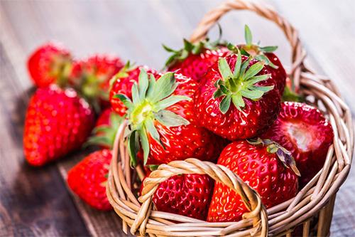 とよのかはどんないちご？味の特徴から育て方まで紹介