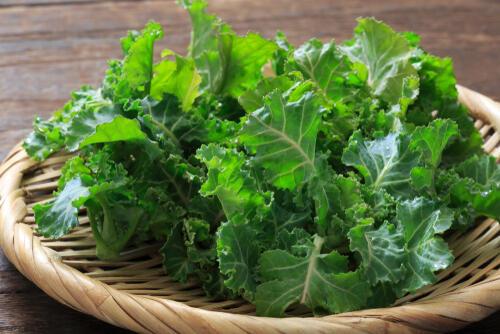 プチヴェールは栄養不足の強い味方！美味しい食べ方や栽培方法とは？