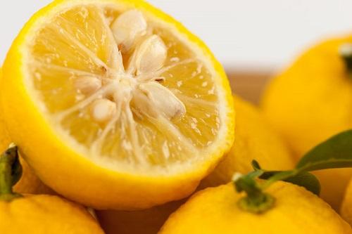 柚子の冷凍保存方法と保存期間を解説！果汁と皮は分けて保存すべき？