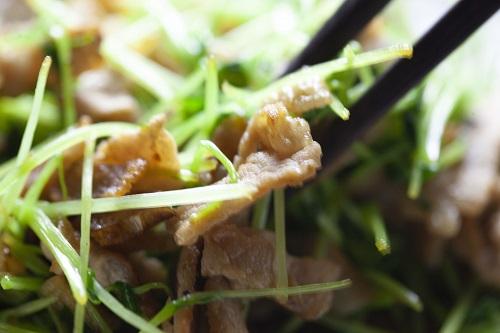 豆苗を使ったお弁当のおかずを紹介！レンジで簡単に作れるレシピも！