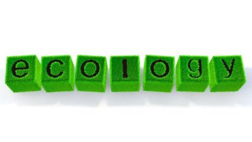 【精密発酵】と発酵食品の違いとは？食糧問題解決の糸口になる？