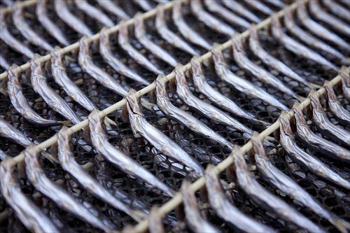 めざしの食べ方を解説！気になる調理方法やアレンジレシピも紹介！