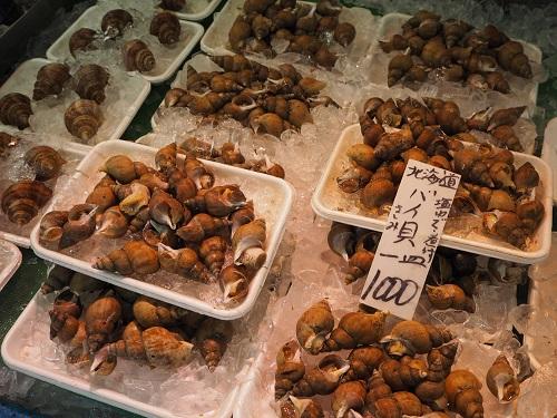 陳列されているバイ貝の画像