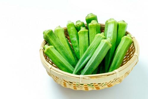 オクラの旬の時期はいつ？産地や品種ごとの収穫期も解説