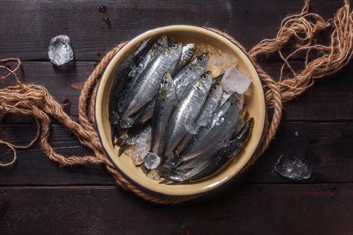 地中海産のイワシ