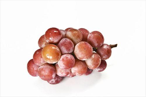 クイーンニーナ