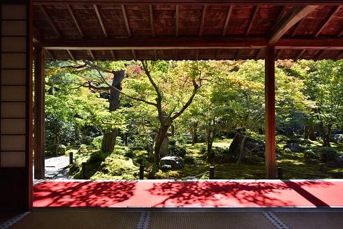 書院から眺める庭