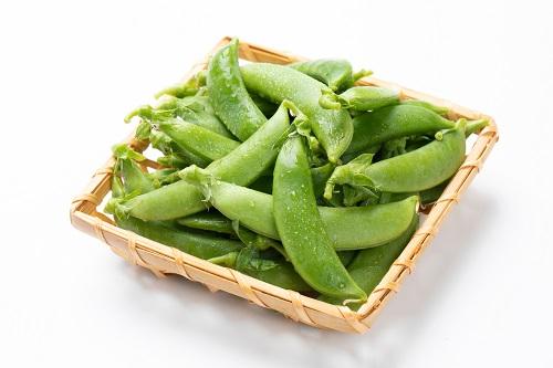採れたてスナップエンドウ