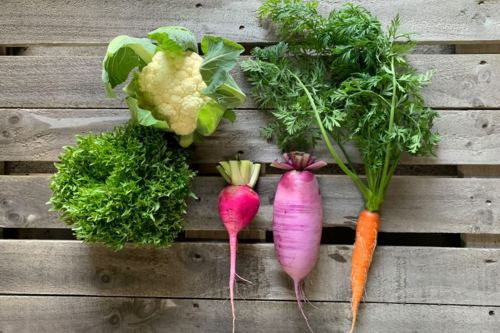 子どもが野菜を食べない衝撃の理由！？農家さんにインタビュー