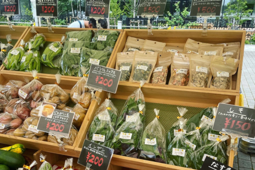 学者から農家へ転身！？有機野菜を栽培する利根川さんにインタビュー