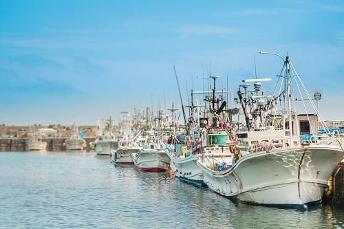 漁港の写真