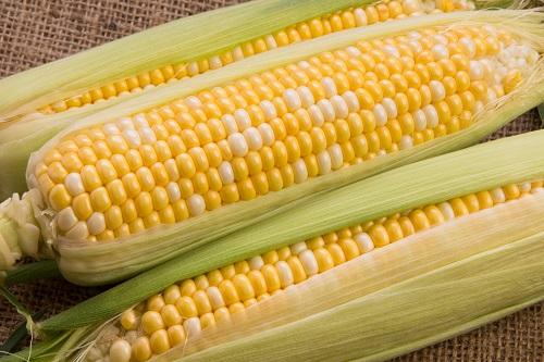 とうもろこし