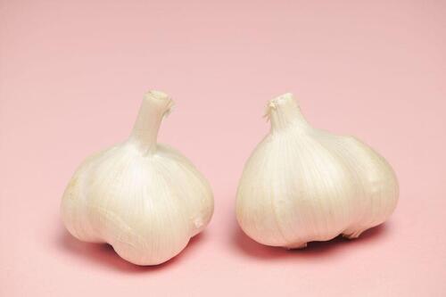 にんにくの栽培方法！家庭で育てられる？お手入れのコツも紹介！