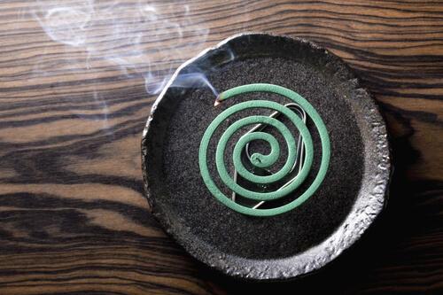 小皿にのっている蚊取り線香の写真