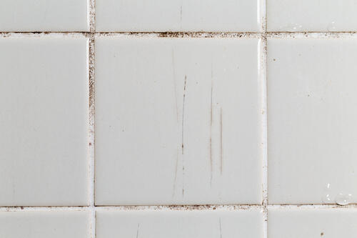 カビが生えているお風呂のタイルの写真