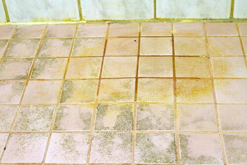 黒ずみ以外に苔やサビのような汚れが付着したお風呂の床