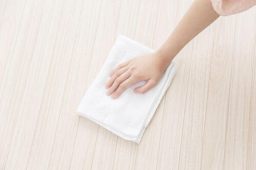 埃の正体は？発生する原因解明と減らすコツ・掃除グッズを紹介