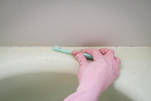 お風呂のゴムパッキンのカビの原因とは？取り方や予防方法も解説！