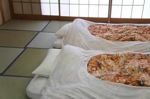 布団乾燥機の最適な使用頻度はどれくらい？【季節やダニ対策】