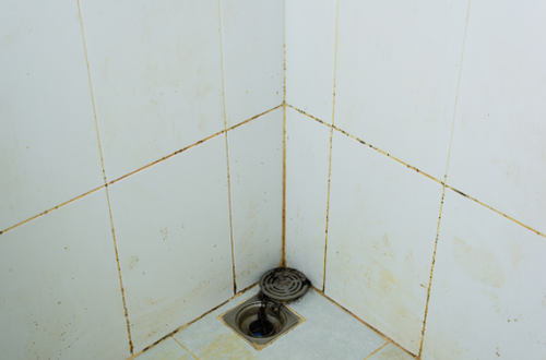 【今年のうちに】お風呂の黒カビを『一撃で』落とすワザを伝授⇒「大掃除に間に合ってよかった！」